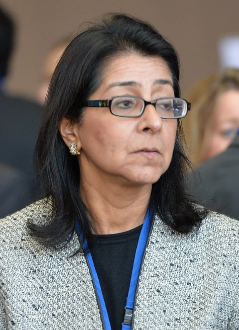 Naina Lal Kidwai