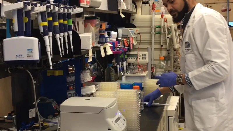 A National Institute of Allergy and Infectious Diseases scientist working with samples in a vaccine research laboratory
