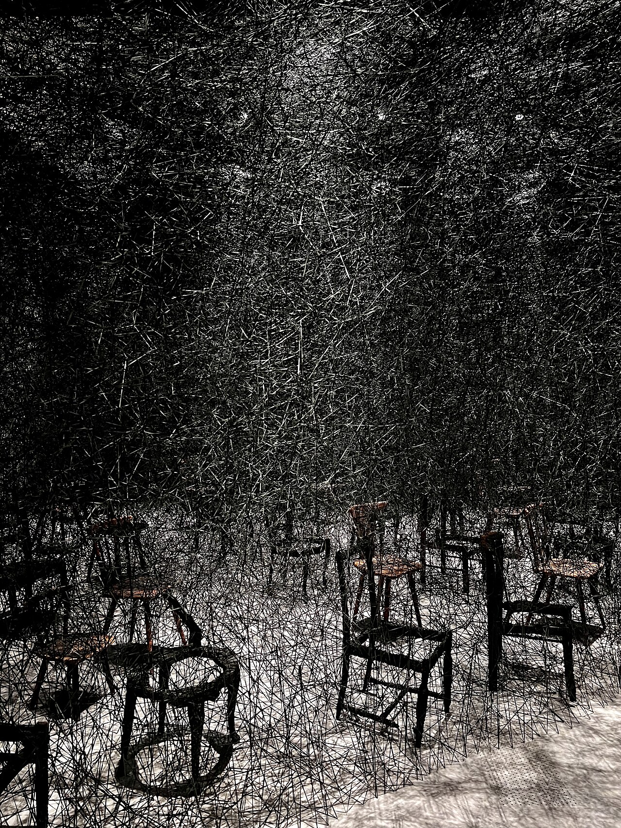 Chiharu Shiota